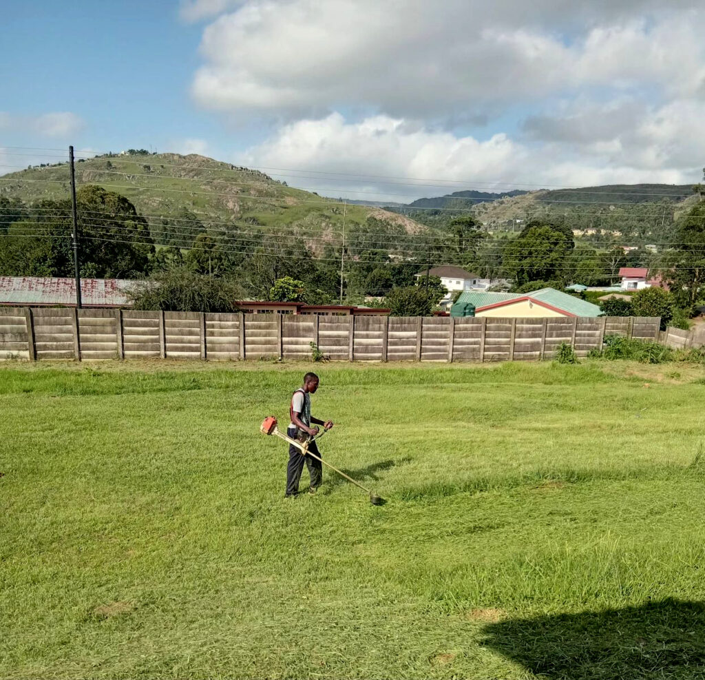 View from our front yard & Sam taming the front